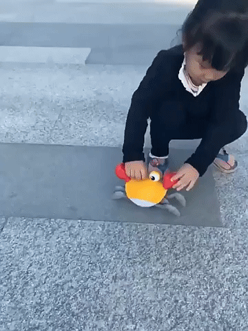 WonderRunner™ – Aventura en movimiento