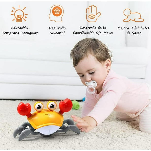 WonderRunner™ – Aventura en movimiento